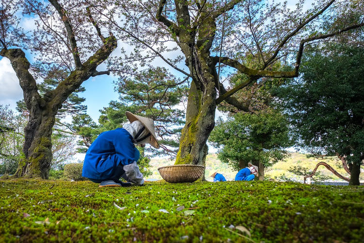 Kanazawa