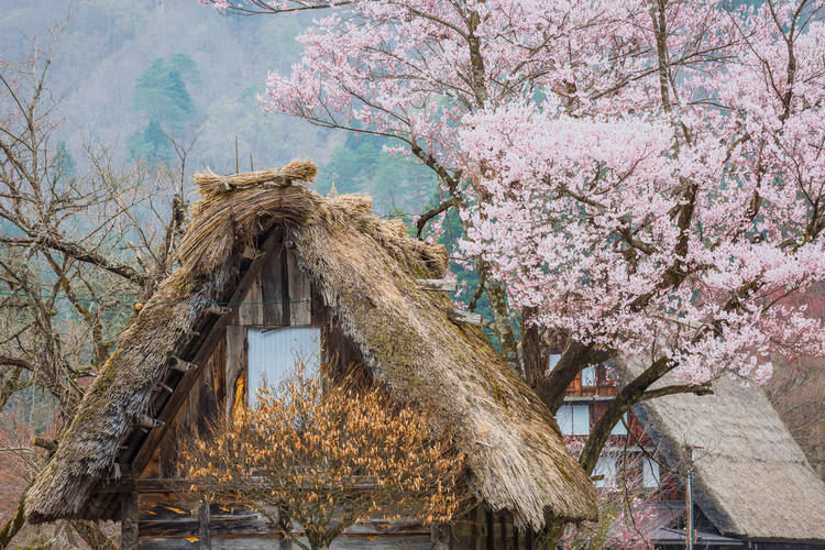 Shirakawa-go Japan