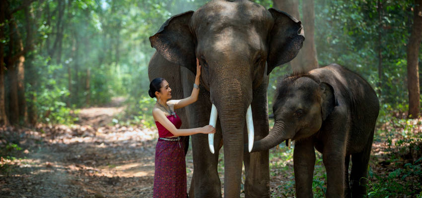 Thai Chiang Mai