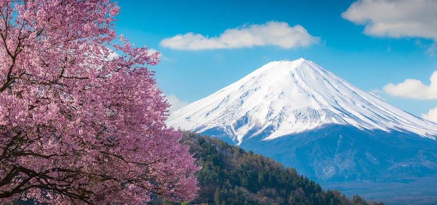 Japan in der Blütenzeit