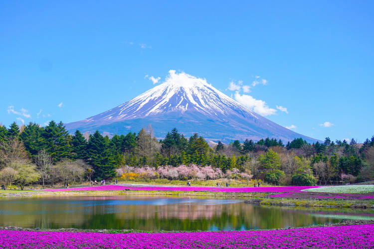 Fuji Five Lake in Japan